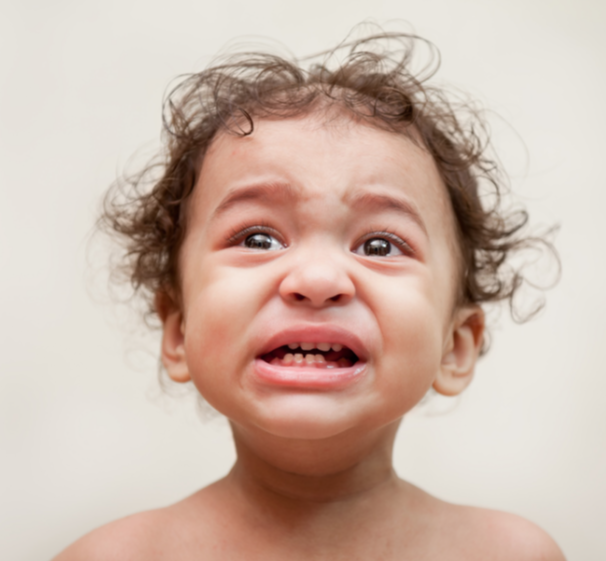 parenting veda mobile application best parenting app online course in gujarati and hindi daily parenting activity parenting webinar seminar workshop kit personal counseling child brain development child behavioral issue jitendra timbadiya - shishu workshop