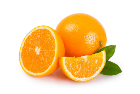 parenting veda mobile application best parenting app online course in gujarati and hindi daily parenting activity parenting webinar seminar workshop kit personal counseling child brain development child behavioral issue jitendra timbadiya - exclusiveness of our course