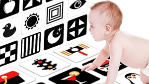 parenting veda mobile application best parenting app online course in gujarati and hindi daily parenting activity parenting webinar seminar workshop kit personal counseling child brain development child behavioral issue jitendra timbadiya - shishu brain development research flash cards for baby: are they necessary?